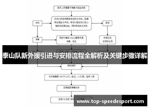 泰山队新外援引进与安排流程全解析及关键步骤详解