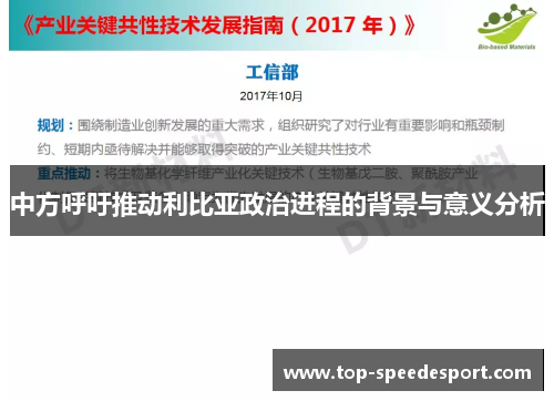中方呼吁推动利比亚政治进程的背景与意义分析